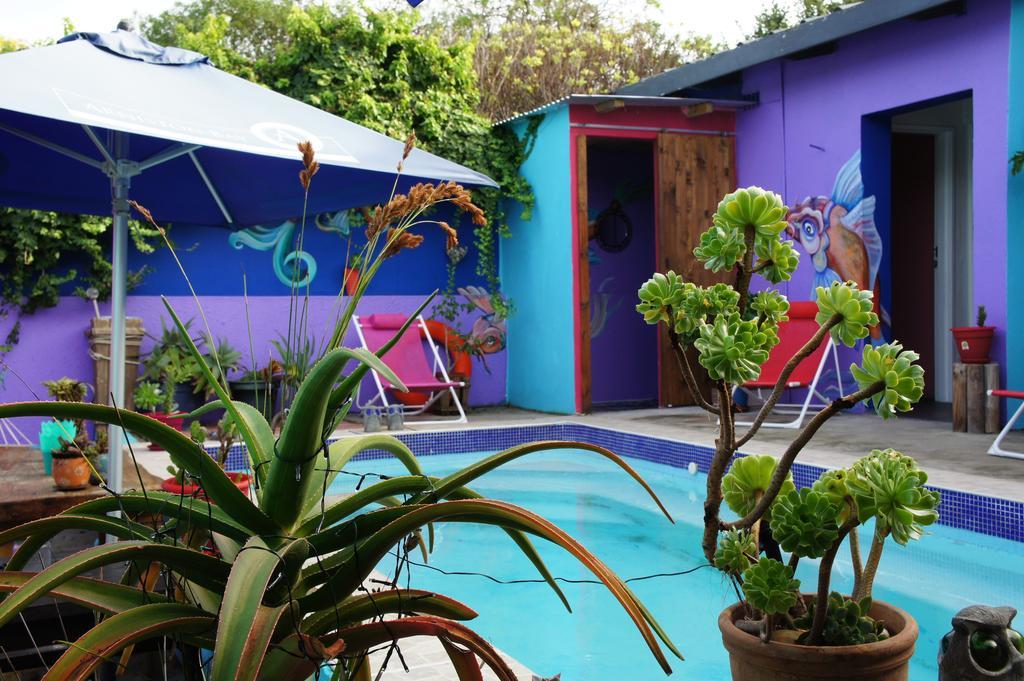 Cape Agulhas Backpackers Hostel Struisbaai Kamer foto
