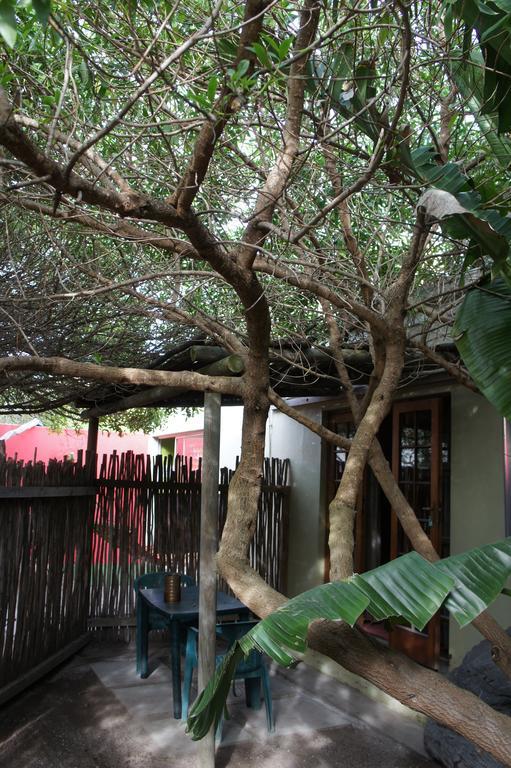Cape Agulhas Backpackers Hostel Struisbaai Buitenkant foto