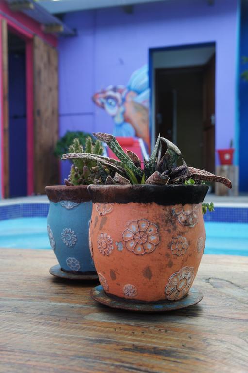 Cape Agulhas Backpackers Hostel Struisbaai Kamer foto