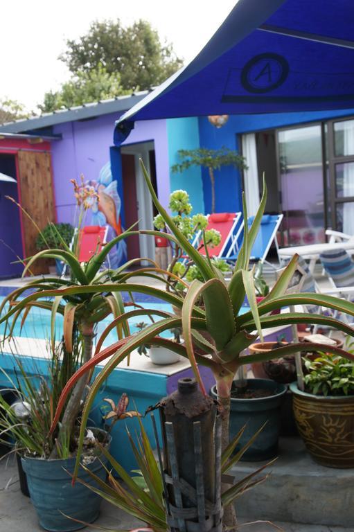 Cape Agulhas Backpackers Hostel Struisbaai Kamer foto