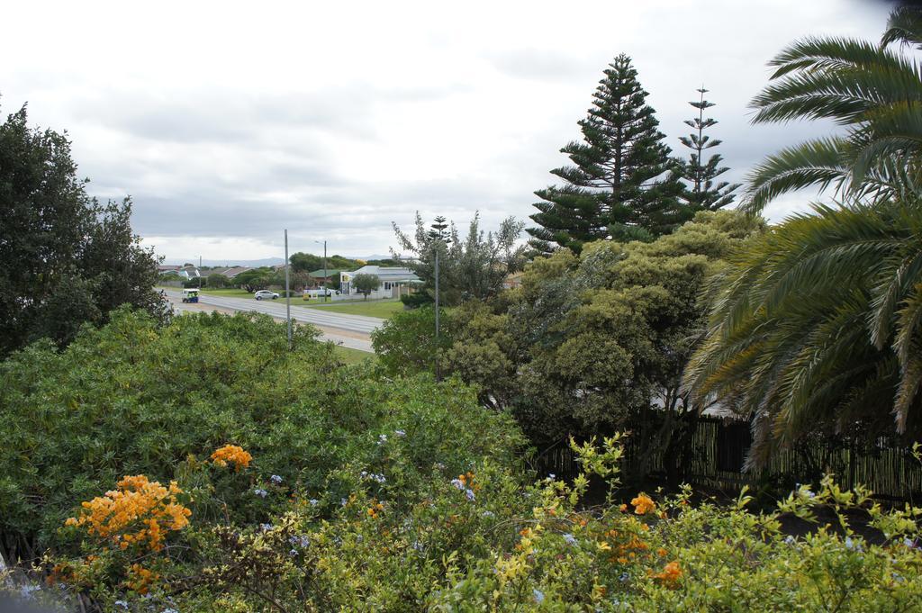 Cape Agulhas Backpackers Hostel Struisbaai Kamer foto